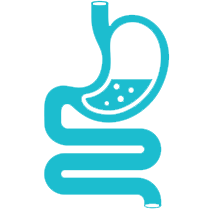 Alimentary tract and metabolism